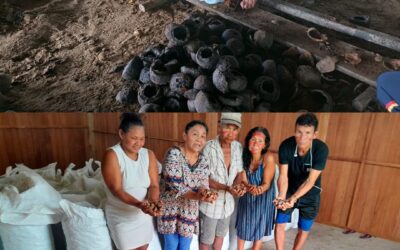 Produção de castanha é fonte de sustento e resistência do povo Apurinã, no Amazonas